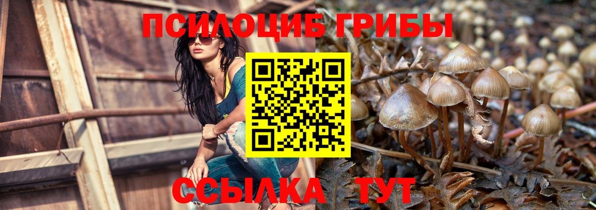 Псилоцибиновые грибы Cubensis Троицк